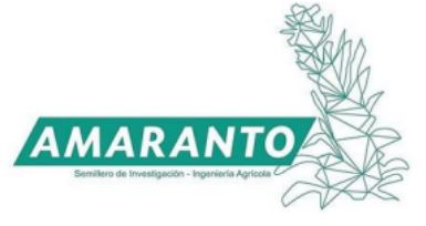 amaranto_0c379.JPG